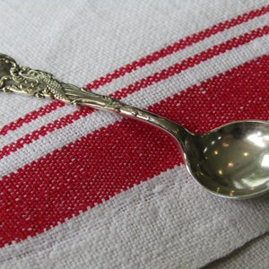 May include: A silver teaspoon with an ornate handle and a rounded bowl. The spoon is lying on a white and red striped fabric.
