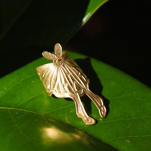 May include: A gold-toned ring shaped like a moth with detailed wings, antennae, and elongated tail streamers. The metal surface features embossed lines and textures that mimic the natural anatomy of a moth, creating a sculptural piece of jewelry.