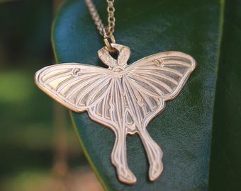 Engraved Brass Moth Pendant Necklace • Luna Moth Charm Jewelry • Dark Academia
