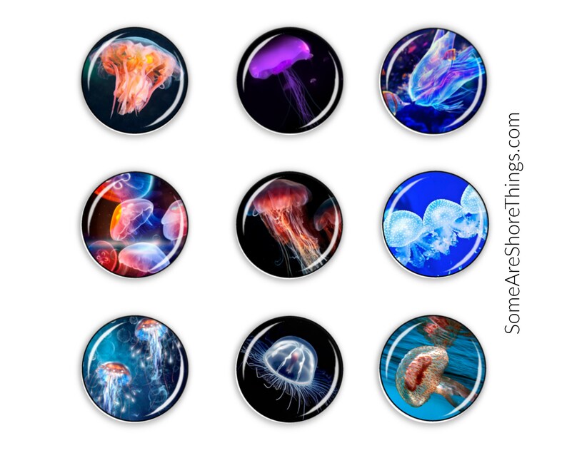 Jellyfish Magnet Set Cubicle Magnets Teacher Appreciation Office Fridge Office Magnets Mother/'s Day Gift
