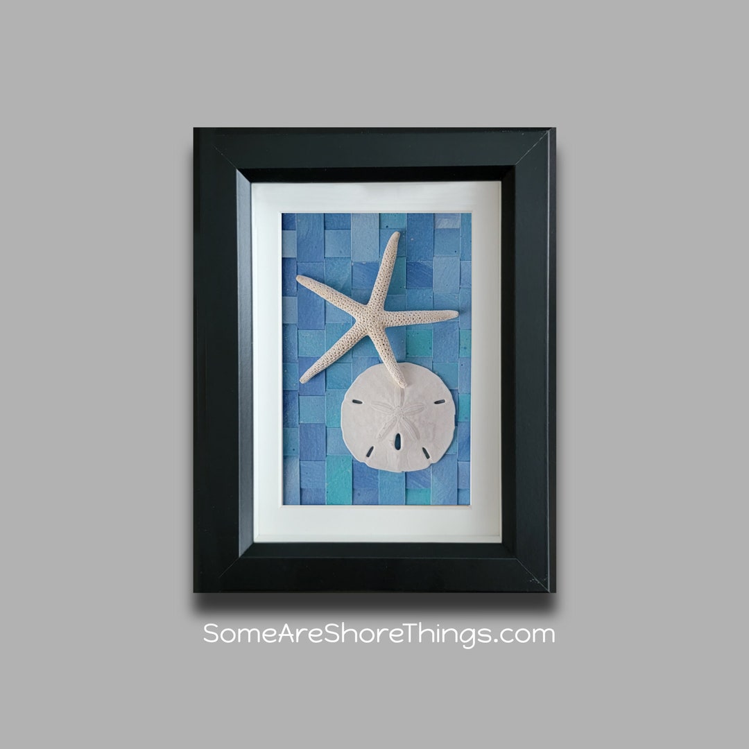 Seashell Shadow Box Wall Decor in Shadow Box Frame. Ocean Etsy