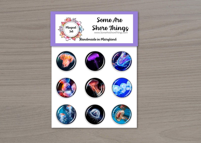 Jellyfish Magnet Set Cubicle Magnets Teacher Appreciation Office Fridge Office Magnets Mother/'s Day Gift