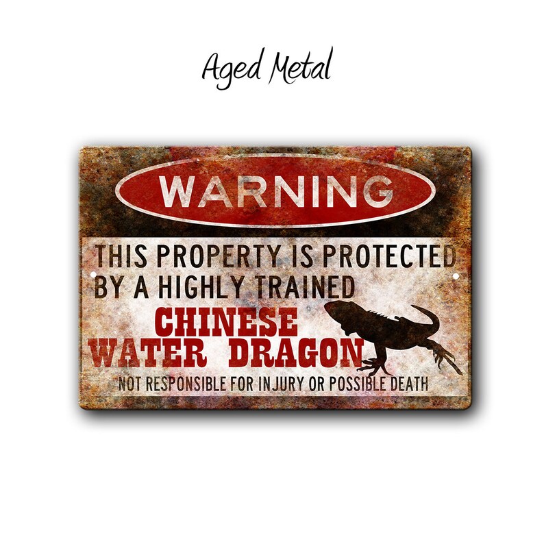 chinese-water-dragon-signfunny-metal-signswater-dragon-etsy