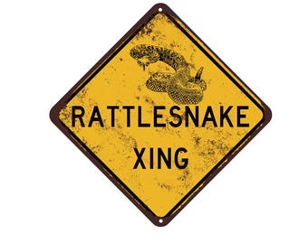 Danger Noodle Xing Funny Sign Snake Crossing 6x6 Inch Aluminum