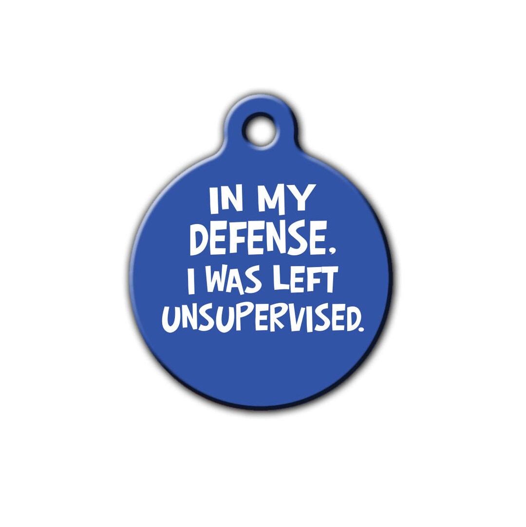 Funny Pet ID Dog Tag,funny Pet Tag,in My Defense I Was Left ...