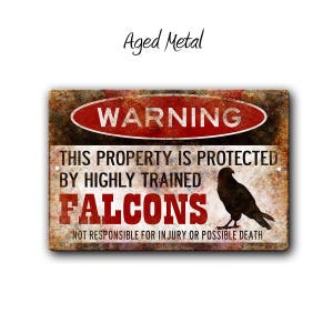 Falcon Sign,Funny Metal Signs,Falcon warning Sign,Funny Falcons sign,Protected by,Falcons,Falconry,Hunting Birds,Birds of Prey,SS1_066