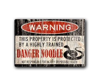 Funny Danger Noodle Snake Metal Sign, Exotic Pet Warning Reptile Decor