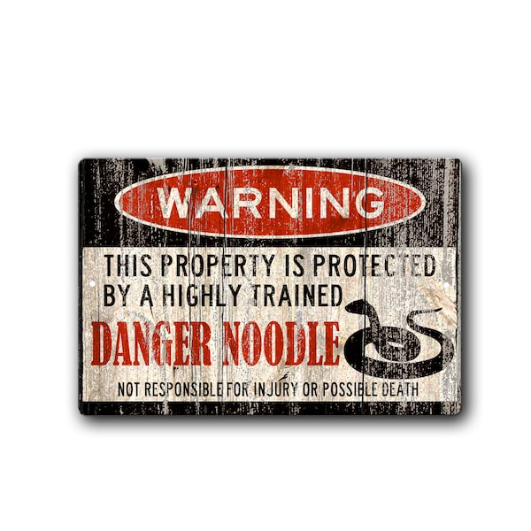 Funny Pet Snake Sign, Danger Noodle Snake Sign, Snake Warning Sign, Pet Gift, exotic pet, Small Pet, Reptile, Metal Sign