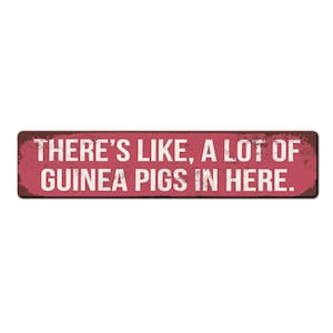 Funny Guinea Pig Sign - Theres like a lot of Guinea Pigs in here - Guinea pig Lover Gift - Guinea pig Owner Sign - Funny Guinea Pig Gift