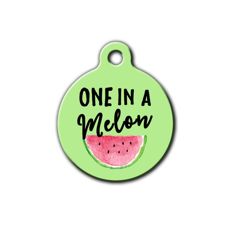 Cute Pet Tag Watermelon Pet Tag Summer Pet Tag One in a Etsy