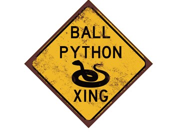 Ball Python Crossing sign - Reptile Room Sign - Ball Python Owner Gift - Ball Python Décor - Small Pets Sign - Kids Pet Sign