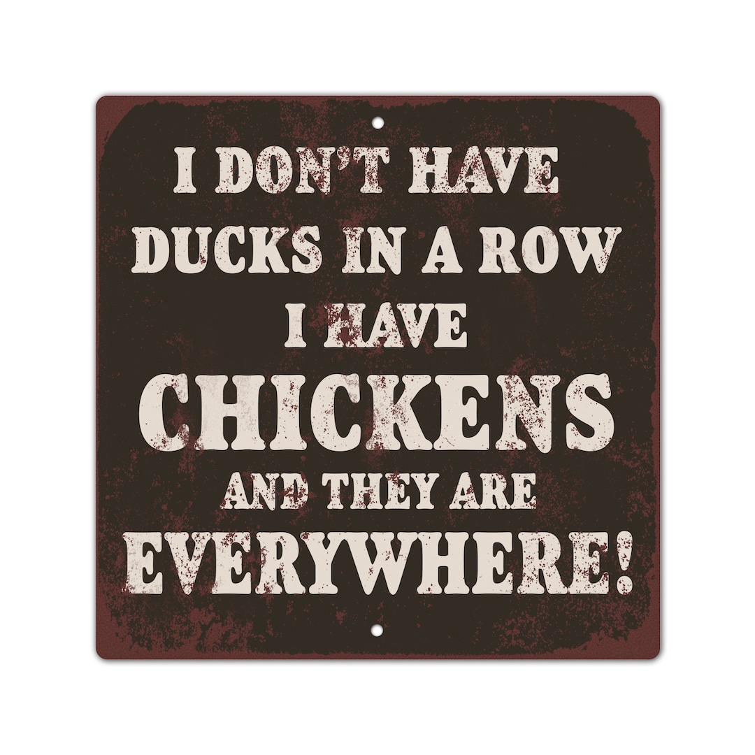 Funny Chicken Run Sign Chicken Coop Décor Crazy Chicken Lady Gift Funny