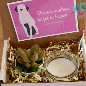 Pet Loss Gift Box |  Candle | With Sympathy | Succulent Gift Box  | Fast Shipping