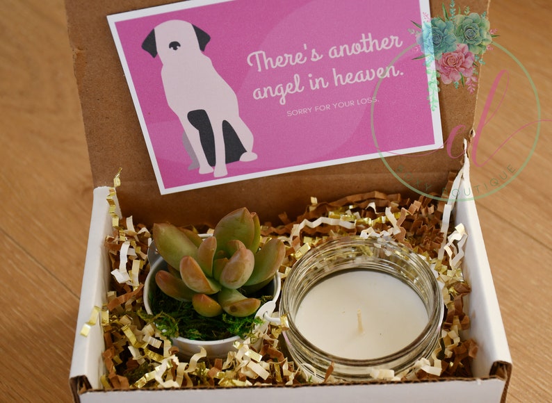 Pet Loss Gift Box |  Candle | With Sympathy | Succulent Gift Box  | Fast Shipping 