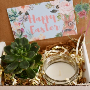 Easter Gift Box |  |  Candle | Succulent Care Package | Easter Basket | Fast Shipping | Gift | Candle