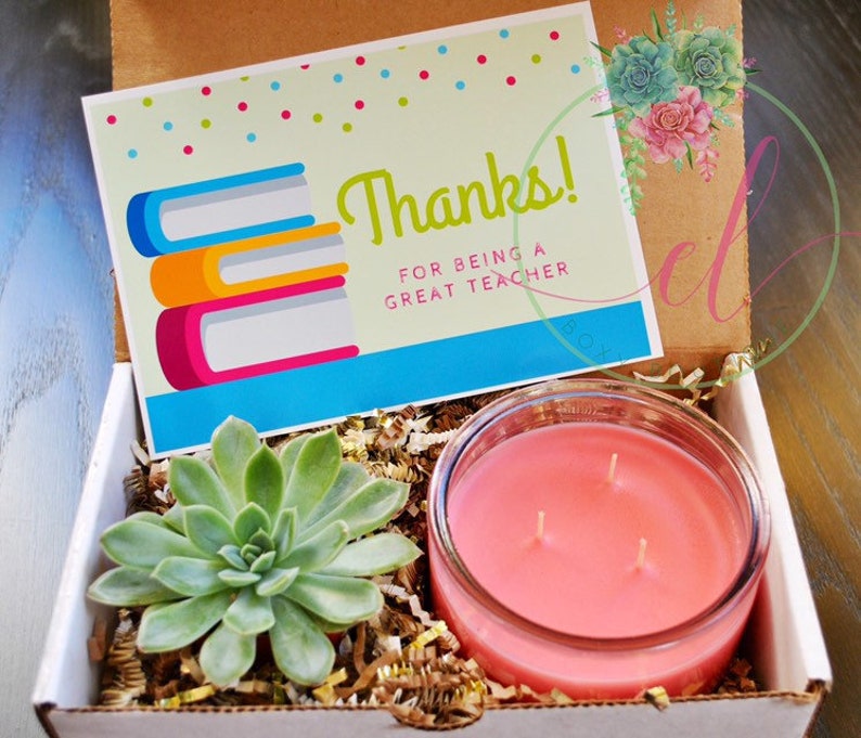 Teacher Appreciation Gift Box, succulent plant gift box