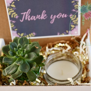 Thank You Gift Box |  Candle  | Succulent Care Package  | Fast Shipping | Gift