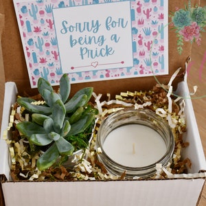 I’m Sorry |  Candle | Apology | Forgive Me Gift Box | Succulent Gift Box | Sorry For Being a Prick  | Fast Shipping