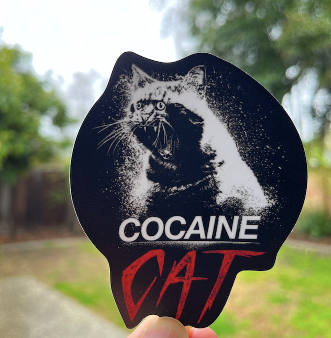 Cocaine Cat STICKER for Laptop, Stickers for Hydroflask, Fat Cat ...