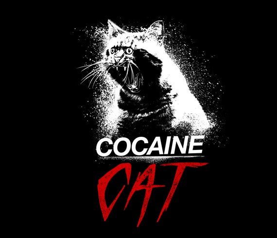 Cocaine Cat Unisex Sweatshirt Trending Sweatshirts Funny Cat T shirt Cat Lover Gift Cat Dad Shirt Cocaine Bear Shirt Meme Cat Mom Etsy UK