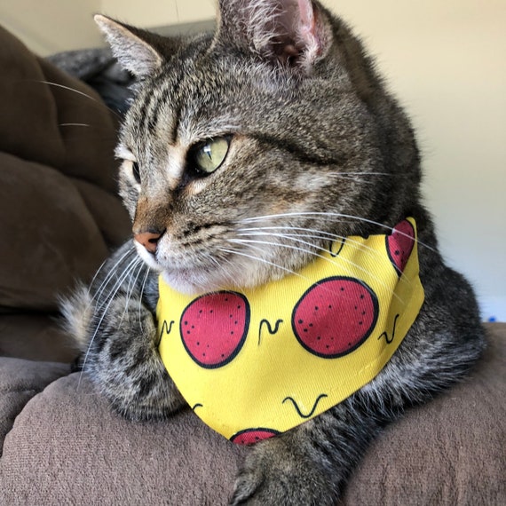 Cat print sale bandana