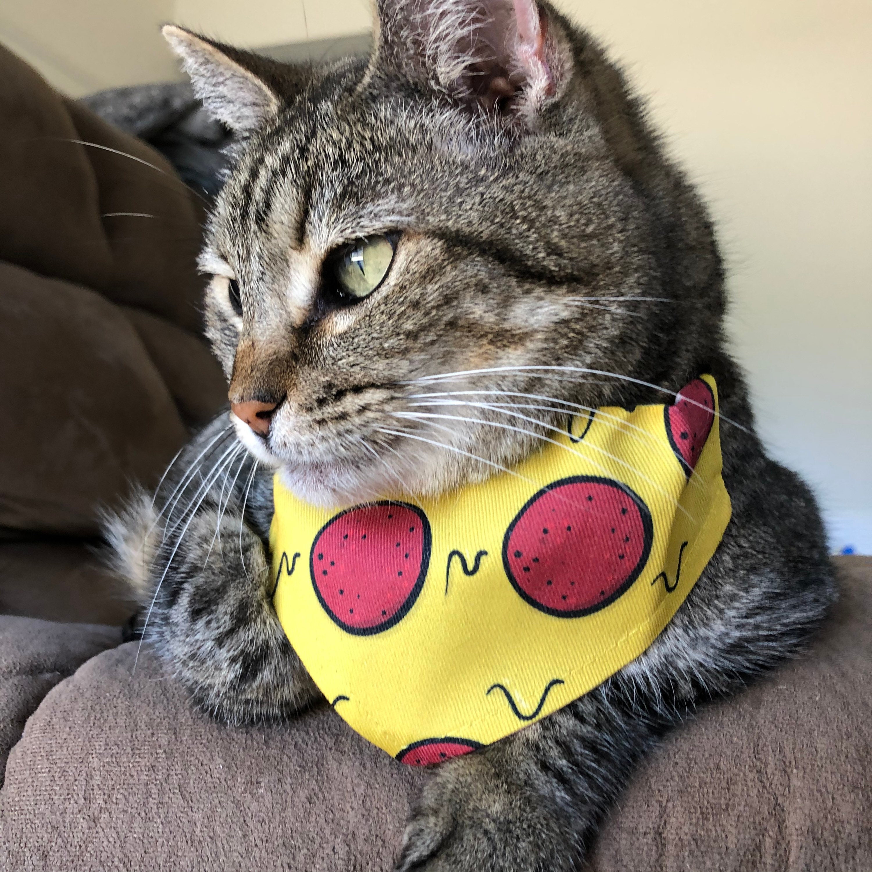 Pizza Bandana Pet Bandana Cat Bandana Pizza Impresión Etsy