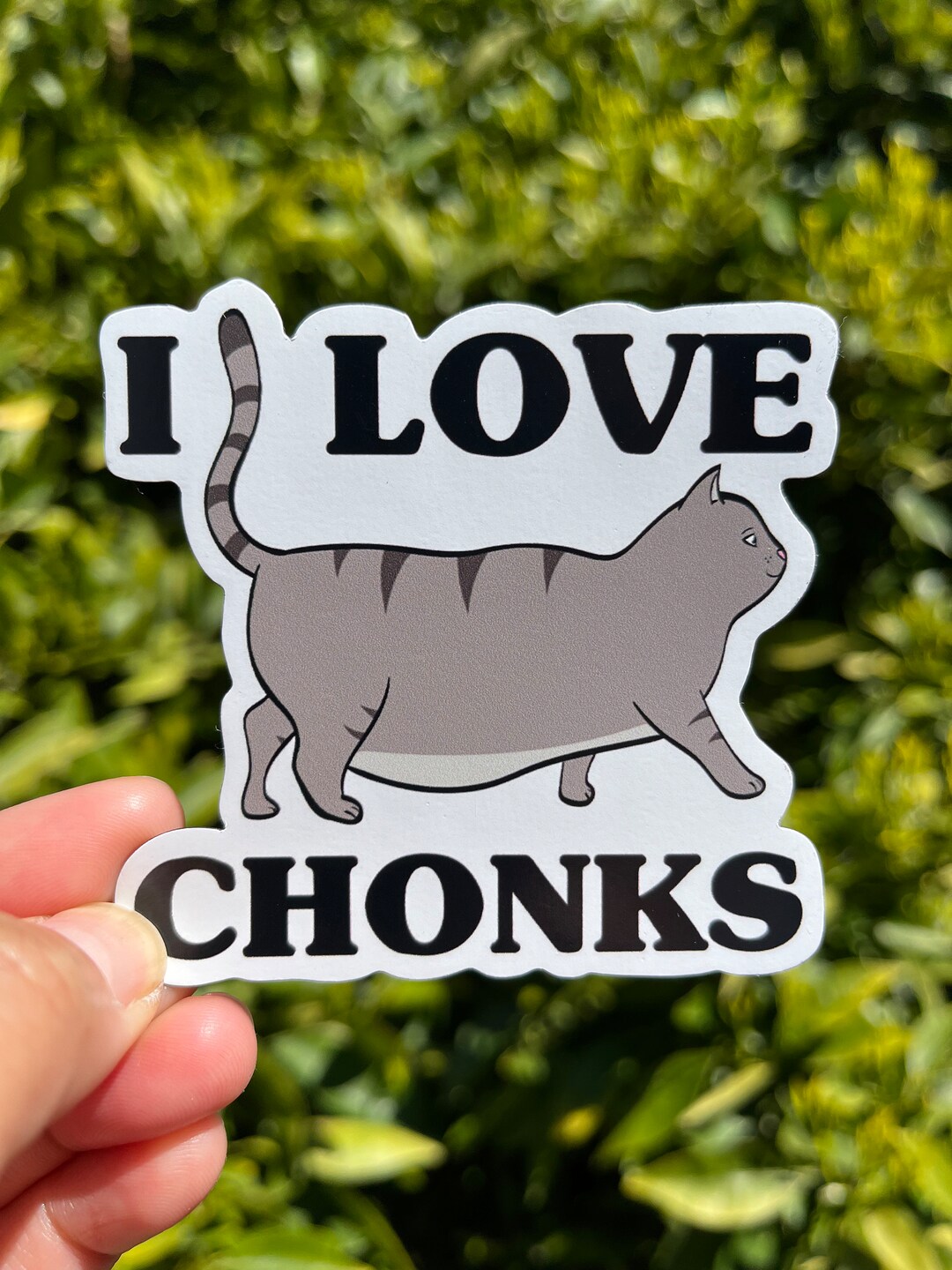 Viaggi Da Sogno Per Amanti Dei Gatti: 7 Mete Imperdibili - Foto 6