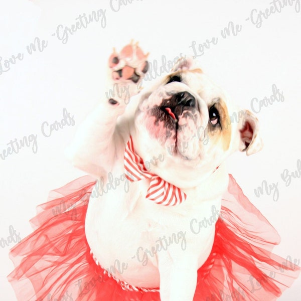 Card #19 / High Five ~ English Bulldog Congratulations Card