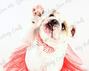 Card #19 / High Five ~ English Bulldog Congratulations Card