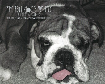 Card #18 / Poopy Vegas ~ English Bulldog Sorry Things Are Poopy Greeting Card