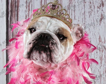 Card #77 / Fabulous - English Bulldog birthday card