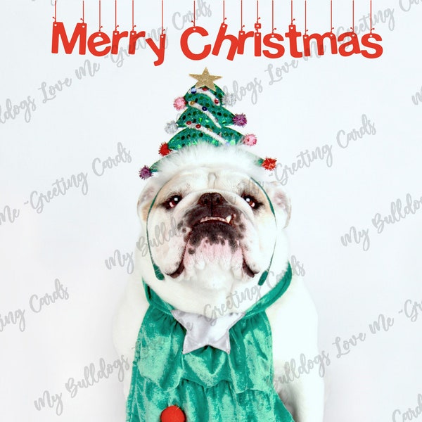 Card #80 / Merry Christmas  ~ English Bulldog Christmas Greeting Card