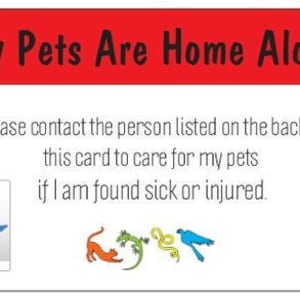 May include: Red card with the text "My Pets Are Home Alone" in white. The text "Please contact the person listed on the back of this card to care for my pets if I am found sick or injured." is below the title. The card has a cartoon image of a dog jumping over a green snake and a yellow bird on the left side. The right side of the card has a black pole with a blue bird, a red cat, a green lizard, and a red dog.