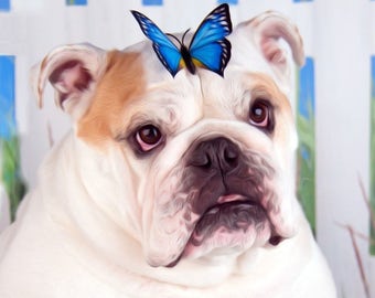 Card #66 / Love is Like a Butterfly ~ English Bulldog Greeting Card