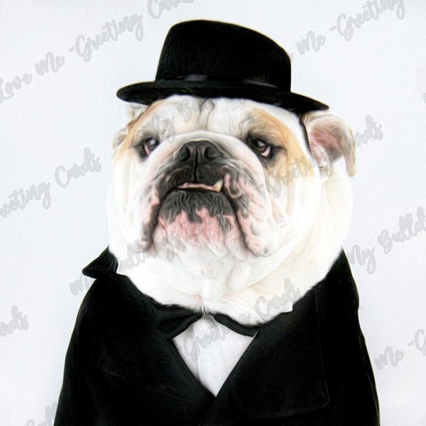 Card #37 / Handsome Dog ~ English Bulldog Birthday Greeting Card