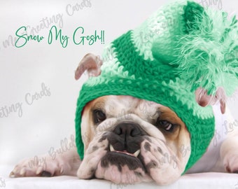 Card #63 / Snow My Gosh ~ English Bulldog Christmas Greeting Card