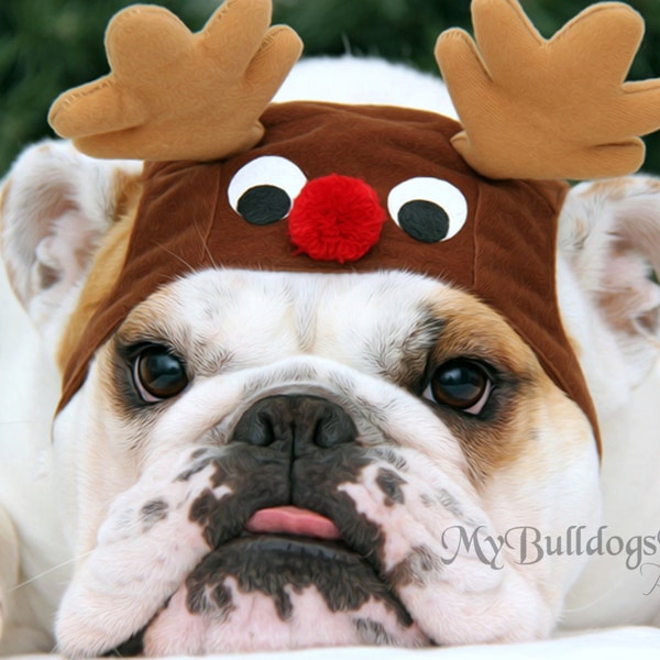 Card #28 / Reindeer Paws ~ English Bulldog Christmas Greeting Card