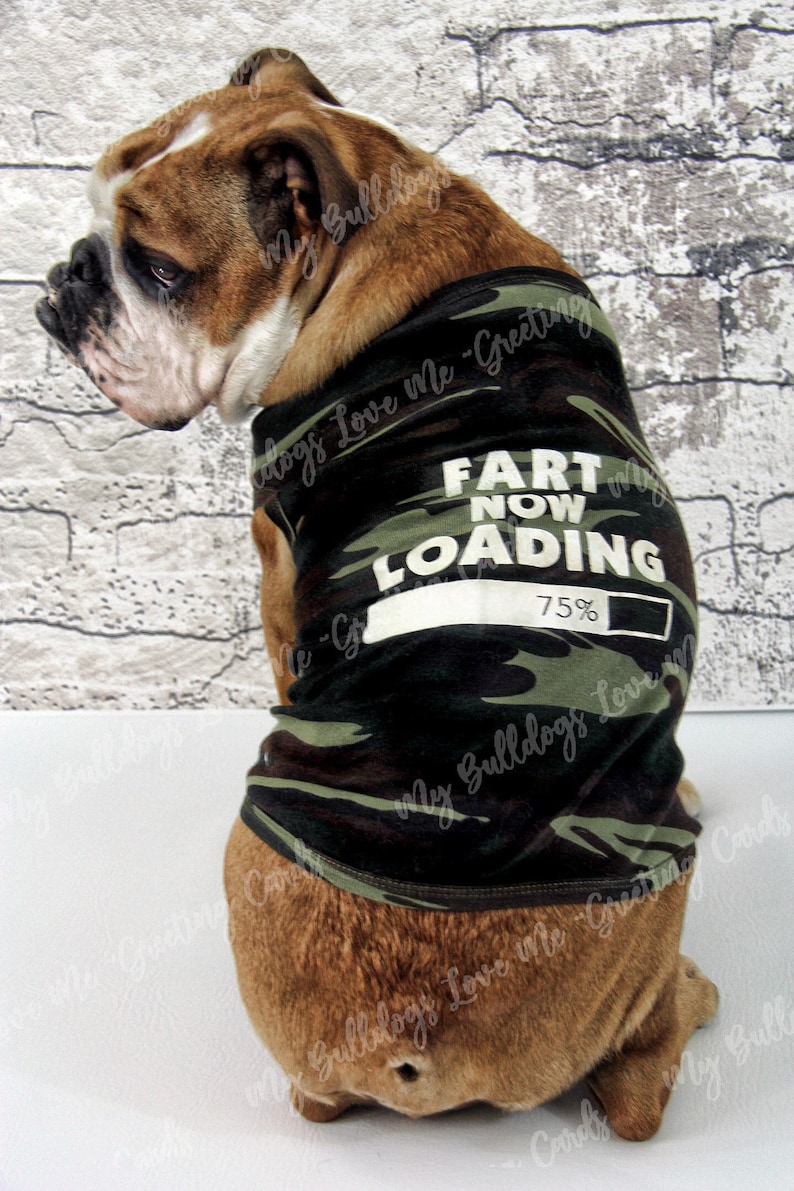 Card 31 / Stinks English Bulldog Birthday Greeting Card image 1