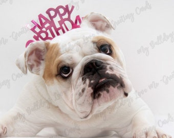 Card #25 / Wait ~ English Bulldog Birthday Greeting Card