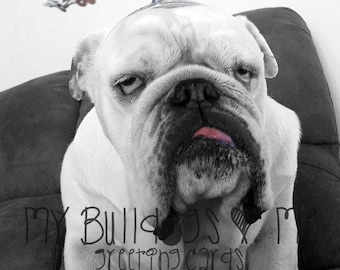 Card #49 / Joey Angel ~ English Bulldog Angel Greeting Card