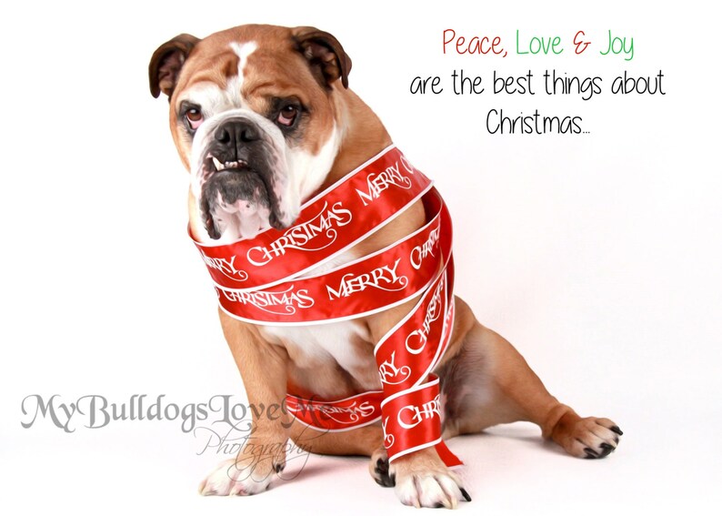Peace and joy english edition