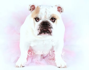 Card #74 / Mother's Day ~ English Bulldog Mother's Day Card