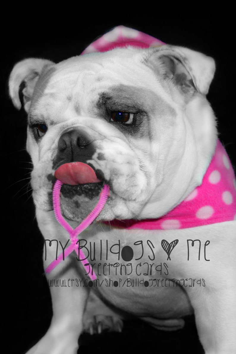 Card 57 / Fight English Bulldog Breast Cancer Greeting Card image 1