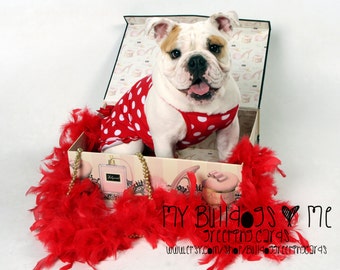 Card #56 / Bullytine ~ English Bulldog Valentine's Day Greeting Card