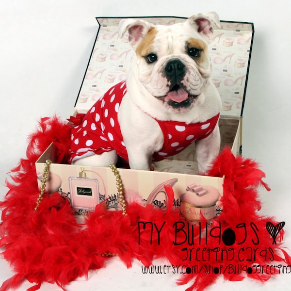 Card #56 / Bullytine ~ English Bulldog Valentine's Day Greeting Card