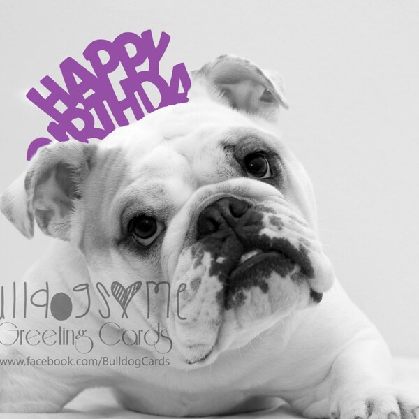 Card #34 *purple* or Card #54 *Blue*/Wait ~ English Bulldog Birthday Greeting Card