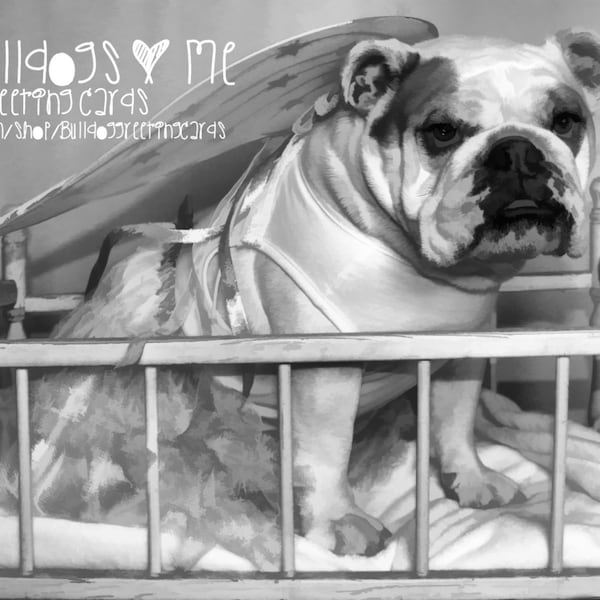 Card #51, #52, #53/New Little Angel ~ English Bulldog New baby Greeting Card (Please specify white, blue or pink blanket)