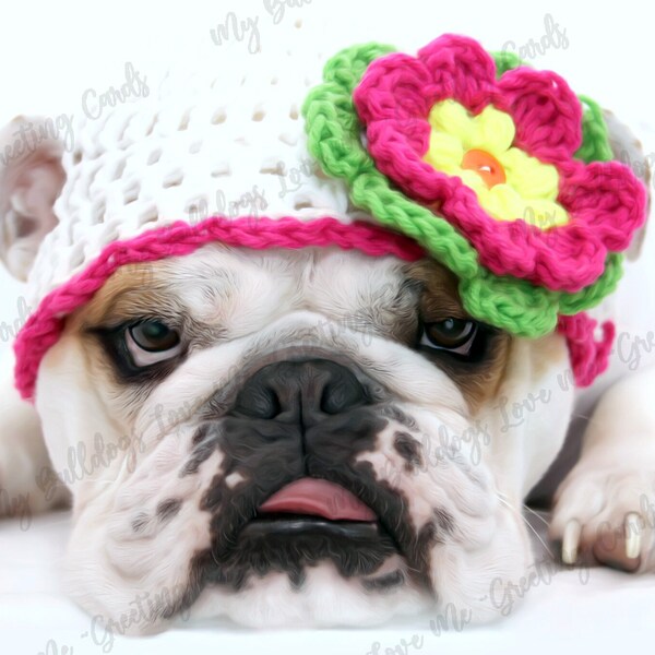 Card #36 / Gorgeous ~ English Bulldog Birthday Greeting Card