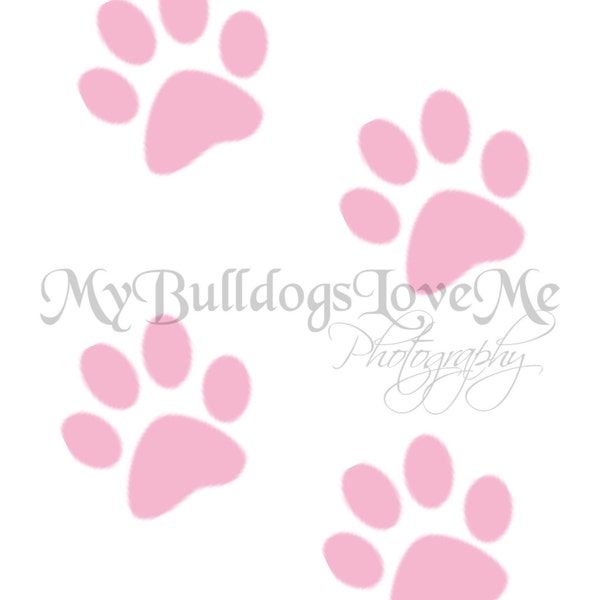 Card #69 and #70/Pawprints ~ New puppy Greeting Card (Please specify pink or blue)