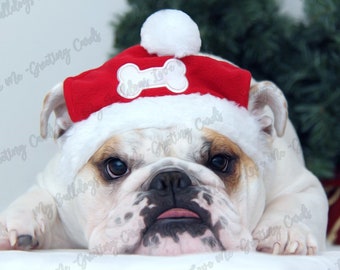 Card #21 / Santa Paws ~ English Bulldog Christmas Greeting Card